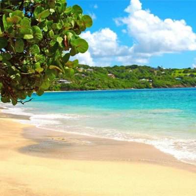 经典牛牛手机app下载