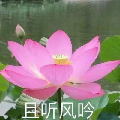 明昇app在线下载