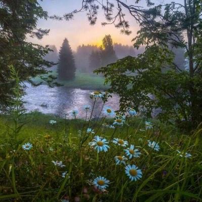 半岛·综合体育中国